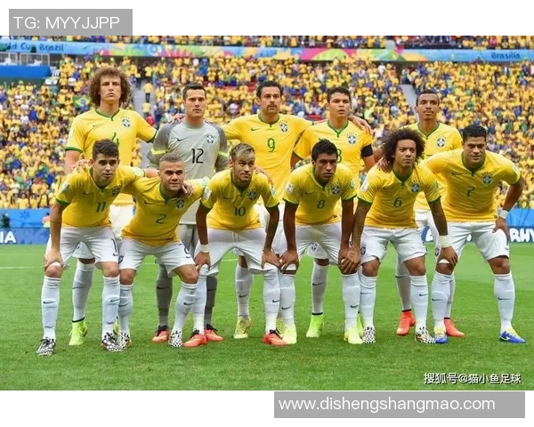 上海羽毛球队在世界杯中的精彩表现与状态分析