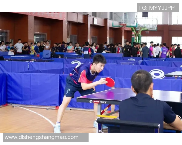 成都乒乓球队灵活性分析与发展策略探讨 成都乒乓球队灵活性分析与发展策略探讨