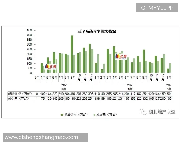 武汉网球队的节奏分析与未来发展趋势探讨