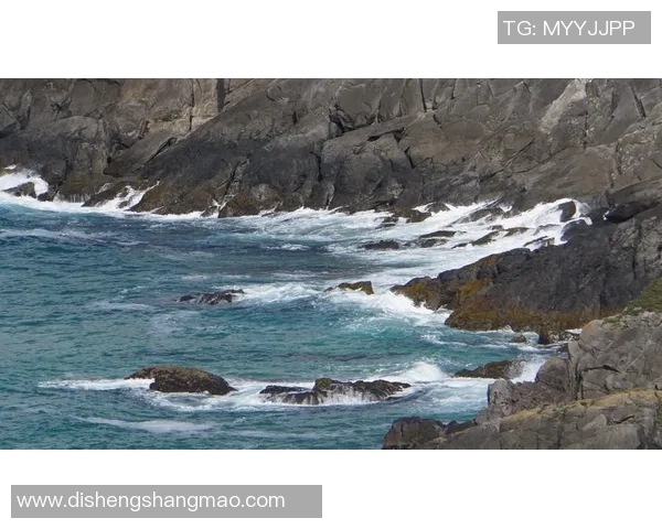 张敏的网球人生深度对话探索她的奋斗与梦想之路
