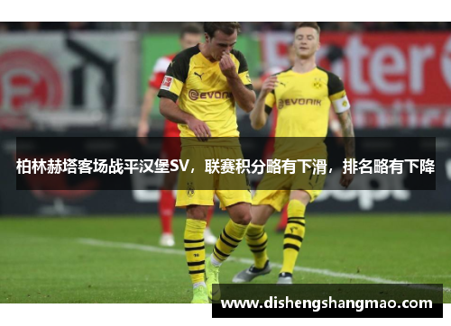 柏林赫塔客场战平汉堡SV，联赛积分略有下滑，排名略有下降
