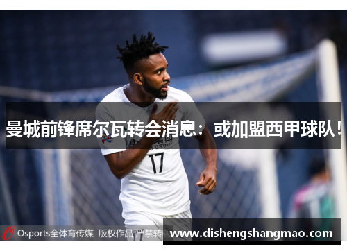 曼城前锋席尔瓦转会消息：或加盟西甲球队！